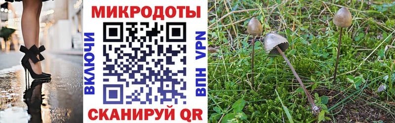 Псилоцибиновые грибы GOLDEN TEACHER хочу Вольск